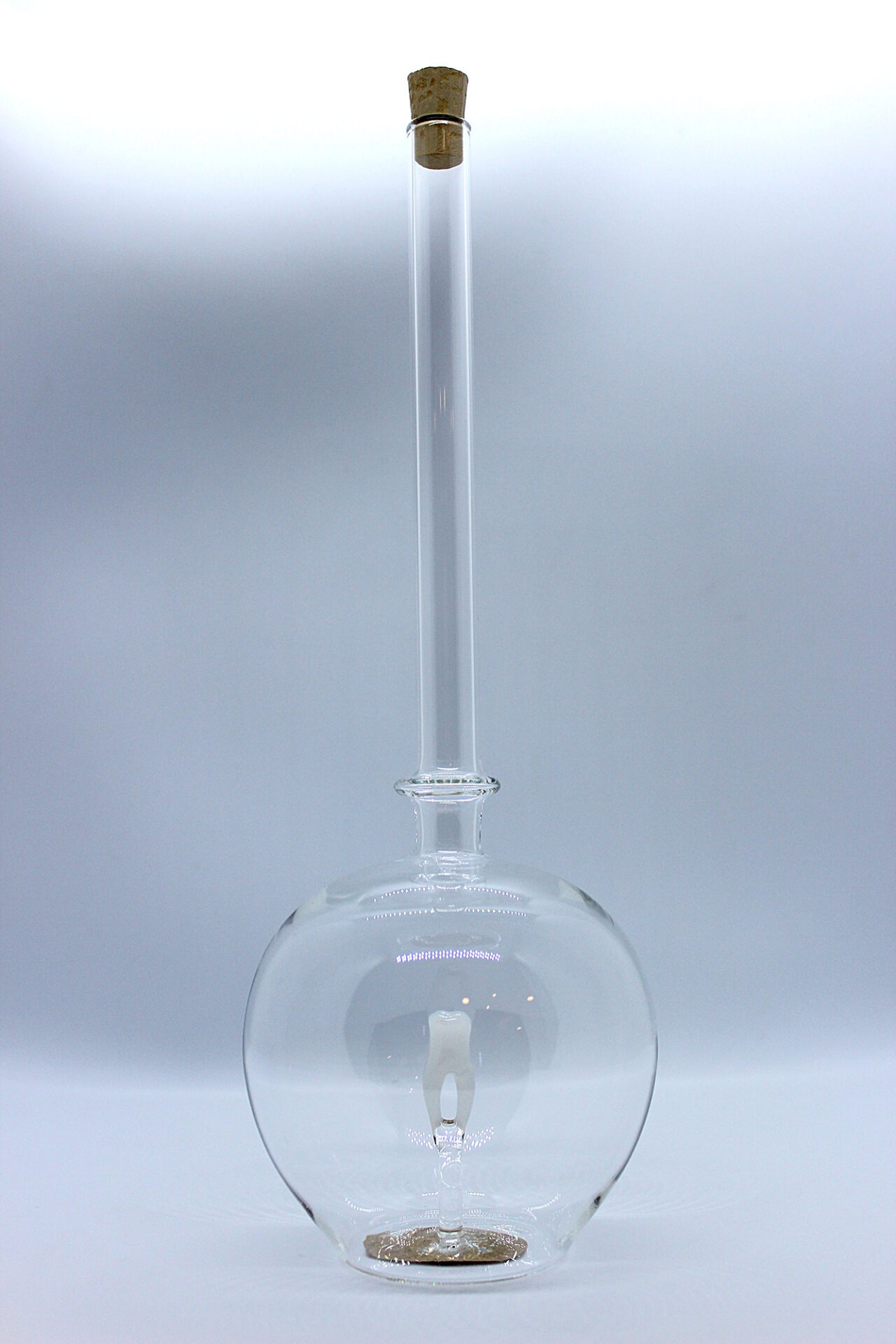 Eine leere bauchige Flasche aus Glas mit einem aus Glas geblasenen Zahn im Inneren.